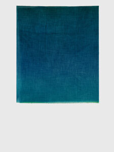 FALIERO SARTI Velana turquoise scarf I230355